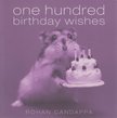 Rohan Candappa - One Hundred Birthday Wishes [antikvár]