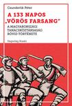 Csunderlik Péter - A 133 napos &quot;vörös farsang&quot;. A Magyarországi Tanácsköztársaság rövid története