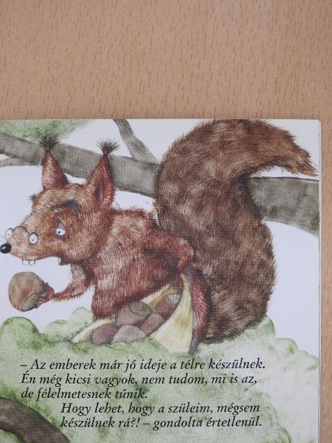 Lévai Erzsébet - Mókuci téli ruhatára [antikvár]