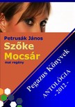 János Petrusák - Szőke Mocsár - Pegazus könyvek Antológia 2012. [eKönyv: epub, mobi]