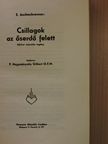 E. Aschenbrenner - Csillagok az őserdő felett [antikvár]