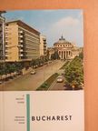 Dan Berindei - Bucharest [antikvár]