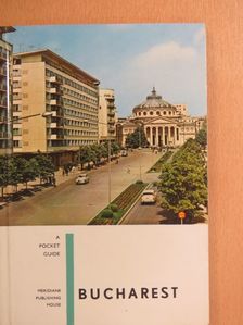 Dan Berindei - Bucharest [antikvár]