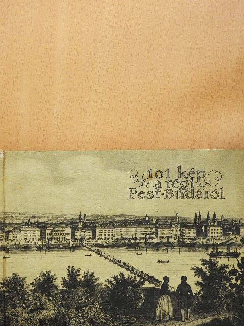 Rexa Dezső - 101 kép a régi Pest-Budáról [antikvár]