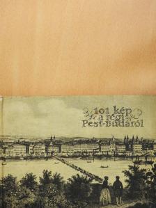 Rexa Dezső - 101 kép a régi Pest-Budáról [antikvár]