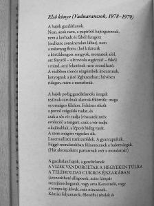 Géczi János - A napcsíkos darázshoz [antikvár]