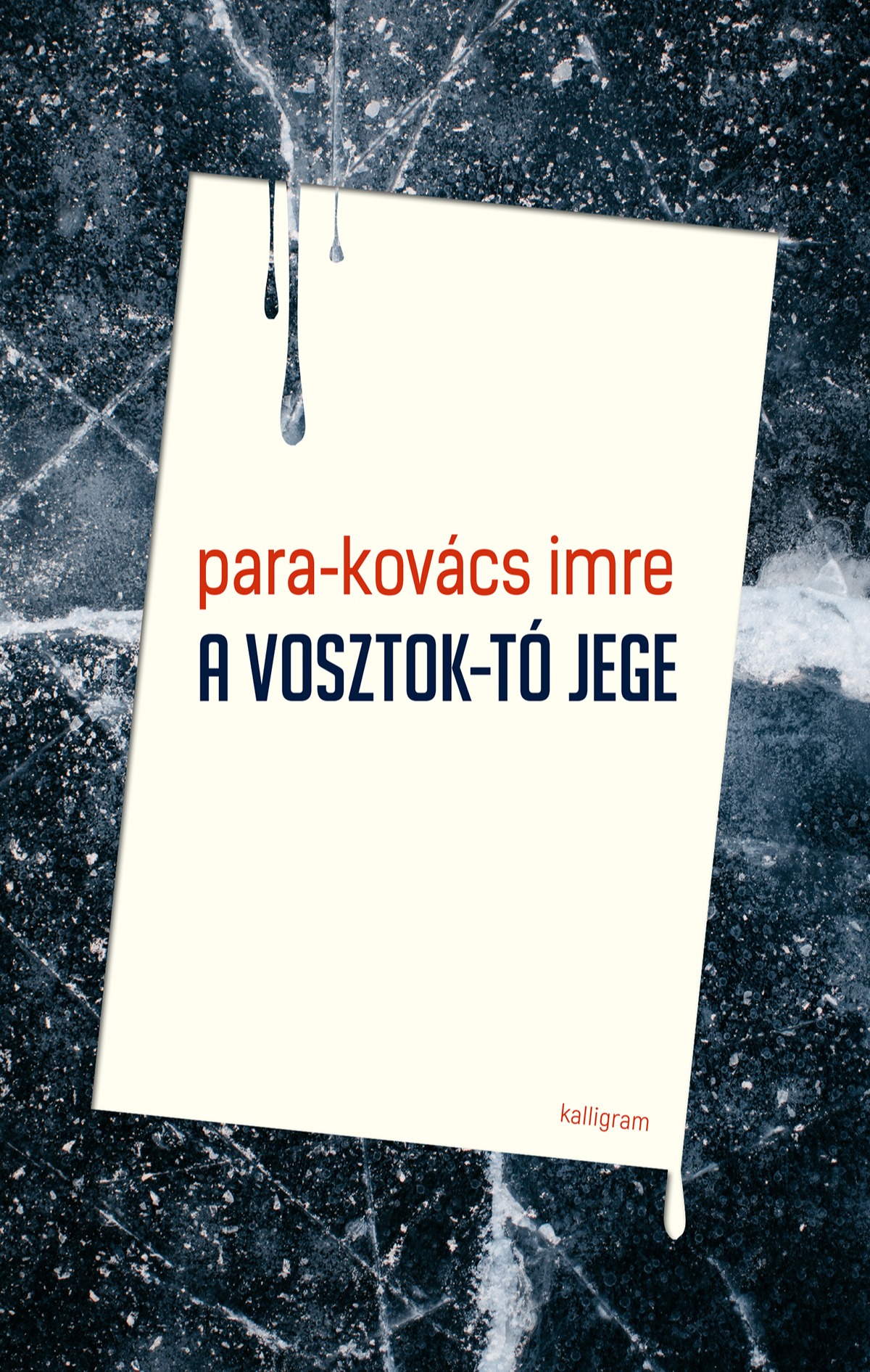 Para-Kovács Imre - A Vosztok-tó jege [eKönyv: epub, mobi]