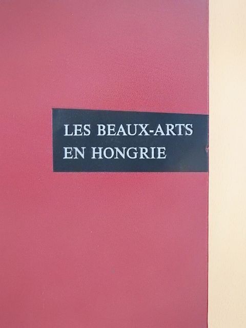 Antal Kampis - Les Beaux-Arts en Hongrie [antikvár]