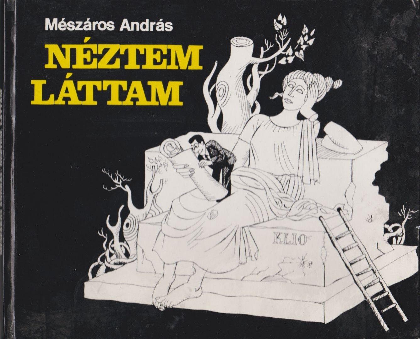 Mészáros András - Néztem, láttam [antikvár]