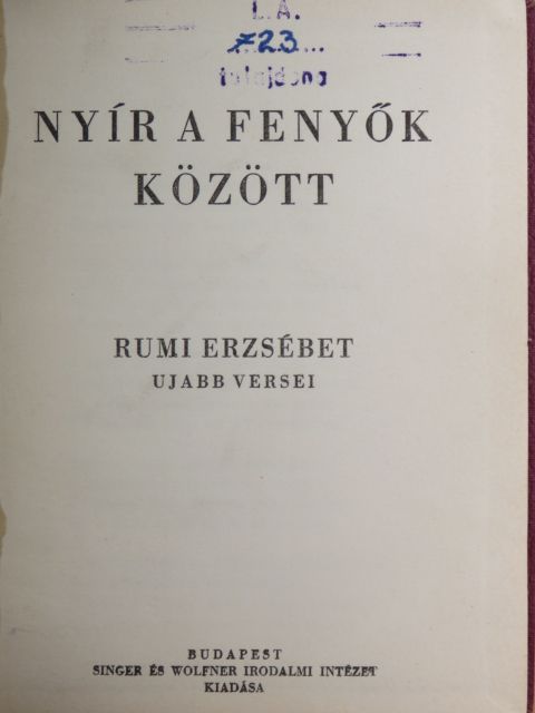 Rumi Erzsébet - Nyír a fenyők között [antikvár]