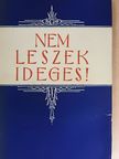 Massmann József - Nem leszek ideges! [antikvár]