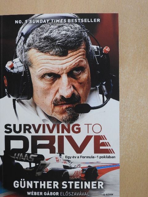 Günther Steiner - Surviving to Drive [antikvár]
