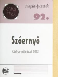 Kecsmár Szilvia - Szóernyő [antikvár]