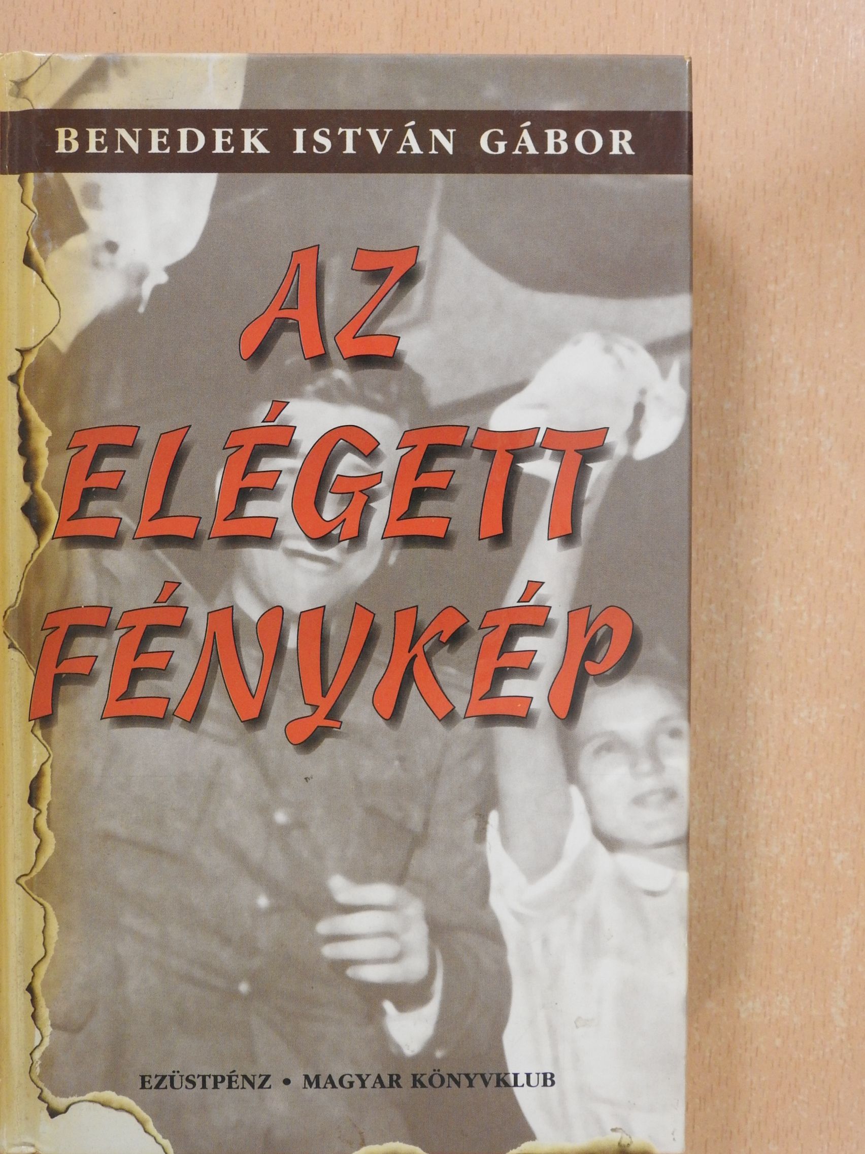 Benedek István Gábor - Az elégett fénykép (dedikált példány) [antikvár]