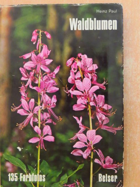 Heinz Paul - Waldblumen [antikvár]