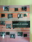 Borzák Tibor - Mesélő képek [antikvár]
