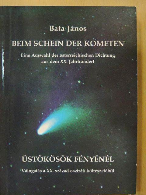 Alois Hergouth - Üstökösök fényénél [antikvár]