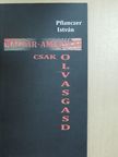 Pflanczer István - Magyar-amerikai csak olvasgasd [antikvár]
