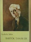 Székely Júlia - Bartók tanár úr [antikvár]