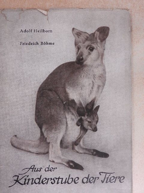 Dr. Adolf Heilborn - Aus der Kinderstube der Tiere [antikvár]