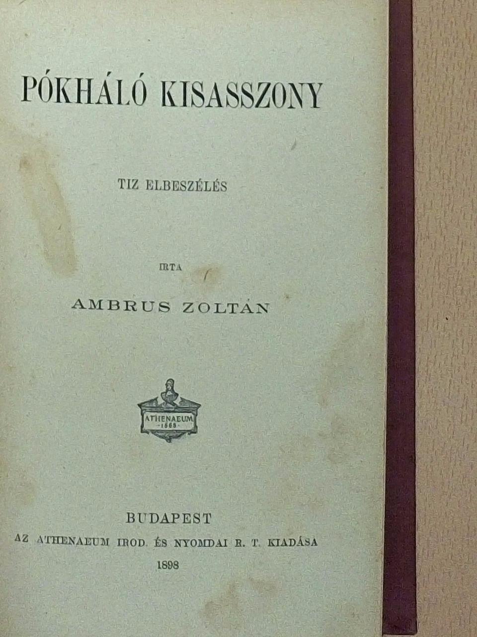 Ambrus Zoltán - Pókháló kisasszony [antikvár]