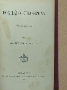 Ambrus Zoltán - Pókháló kisasszony [antikvár]