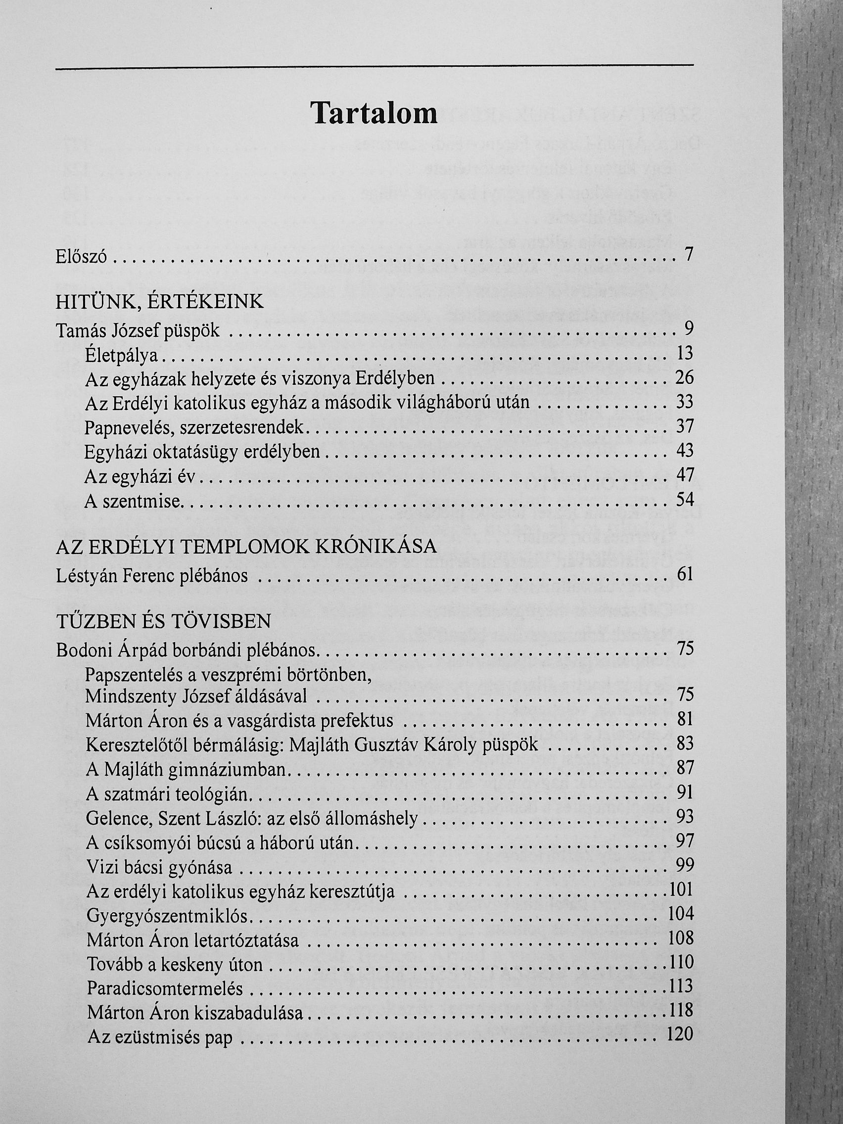 Kozma László - Fenyő a sziklán [antikvár]