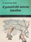 Dr. Jeszenszky Árpád - A gyümölcsfák metszése képekben [antikvár]