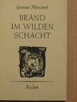Gustaw Morcinek - Brand im wilden Schacht [antikvár]