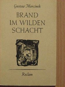 Gustaw Morcinek - Brand im wilden Schacht [antikvár]