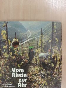 Wolfgang Pethold - Vom Rhein zur Ahr [antikvár]