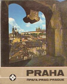 Einhornovi, Milada, Einhornovi, Erich - Praha zalitá sluncem [antikvár]