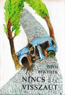 Tóth Benedek - Nincs visszaút [antikvár]