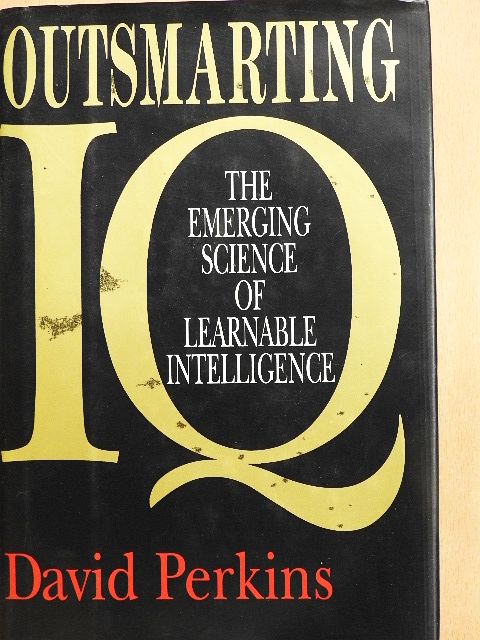 David Perkins - Outsmarting IQ [antikvár]