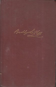 BEÖTHY LÁSZLÓ - Goldbach & Comp. fűszerkereskedése "A kék macskához" [antikvár]