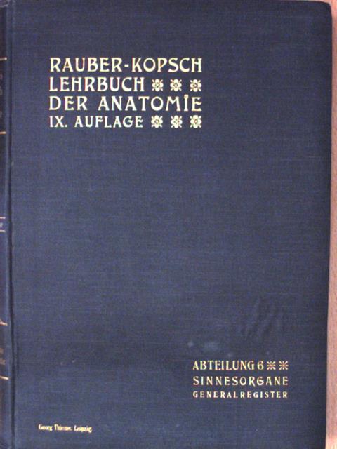 Prof. Fr. Kopsch - Rauber's Lehrbuch der Anatomie des Menschen Abteilung 6. (töredék) [antikvár]