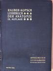 Prof. Fr. Kopsch - Rauber's Lehrbuch der Anatomie des Menschen Abteilung 6. (töredék) [antikvár]