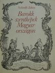 Szilárdfy Zoltán - Barokk szentképek Magyarországon [antikvár]
