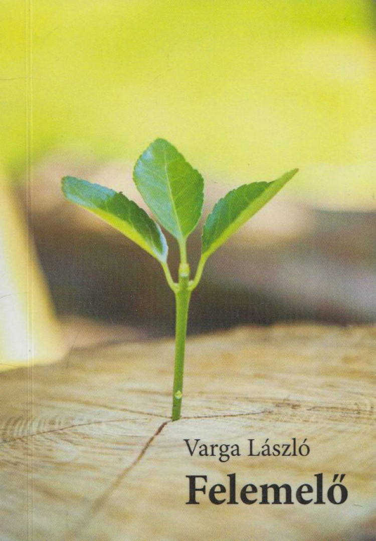 Varga László - Felemelő [antikvár]