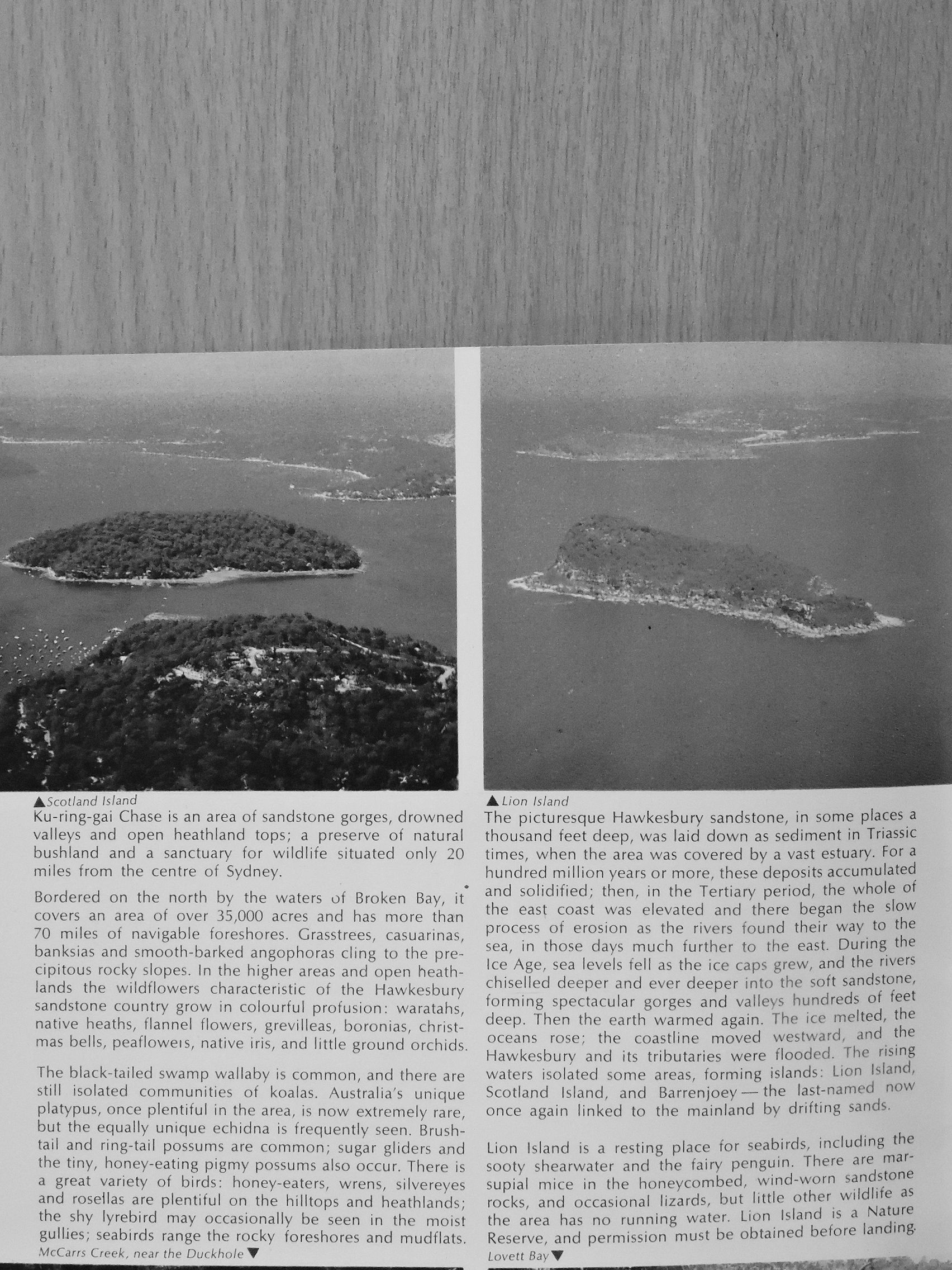 Barbara Mullins - Ku Ring Gai Chase National Park [antikvár]