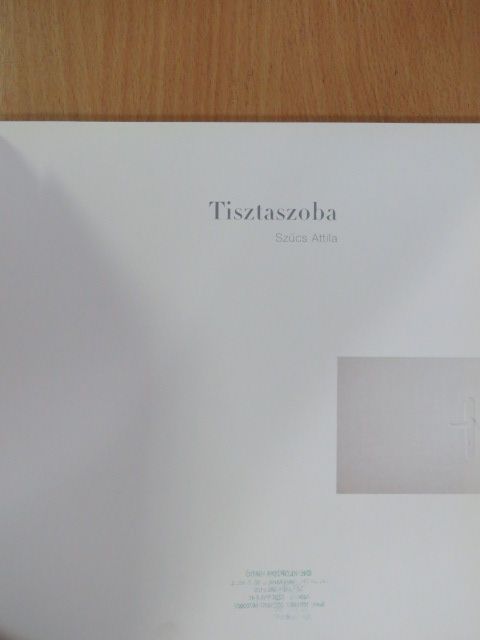 Páldi Lívia - Tisztaszoba [antikvár]