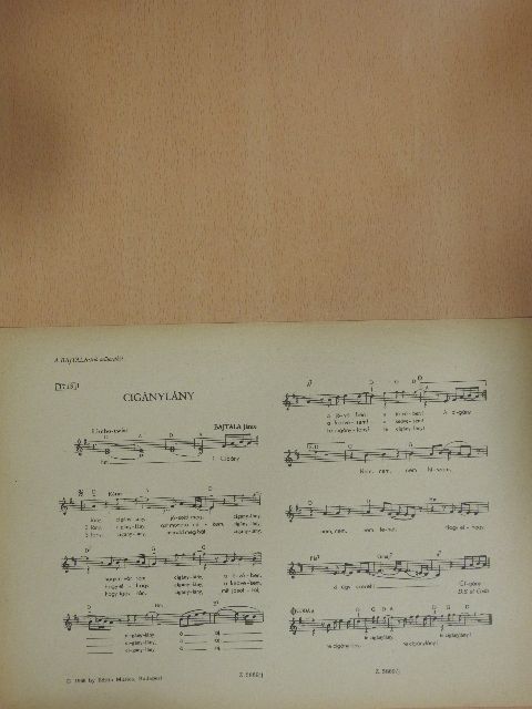 Bajtala János - Cigánylány [antikvár]