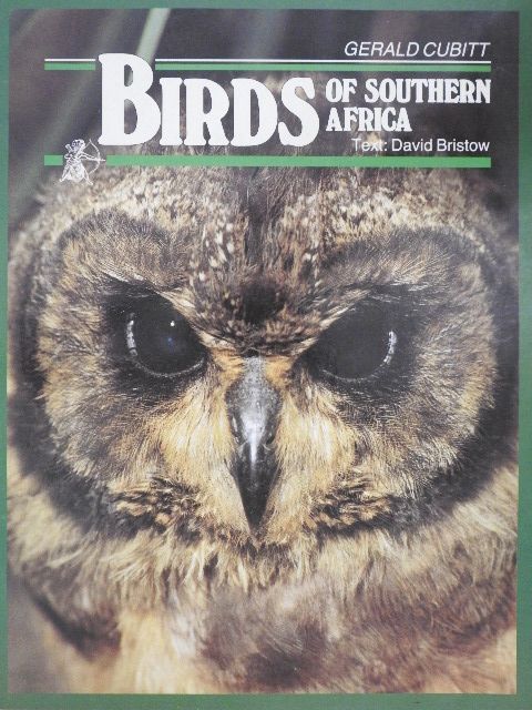 David Bristow - Birds of Southern Africa [antikvár]