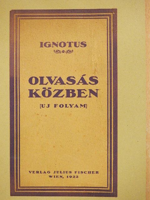 Ignotus - Olvasás közben [antikvár]