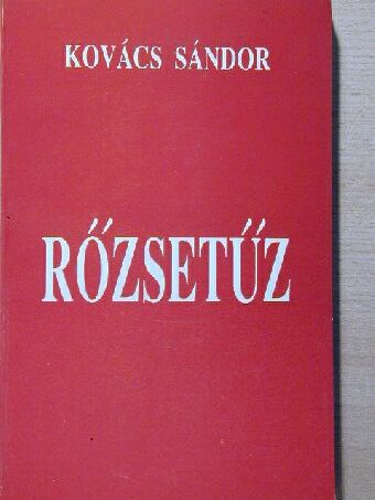 Kovács Sándor - Rőzsetűz [antikvár]