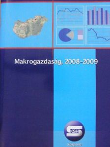 Makrogazdaság, 2008-2009 [antikvár]