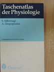 Agamemnon Despopoulos - Taschenatlas der Physiologie [antikvár]