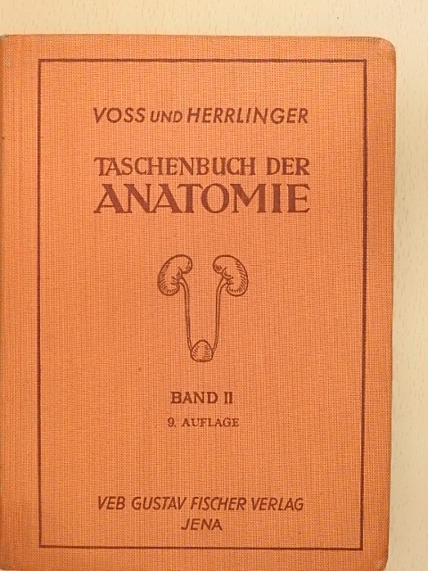 Hermann Voss - Taschenbuch der Anatomie II. (töredék) [antikvár]