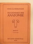 Hermann Voss - Taschenbuch der Anatomie II. (töredék) [antikvár]