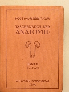 Hermann Voss - Taschenbuch der Anatomie II. (töredék) [antikvár]